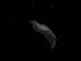 Oiseau de Paradis