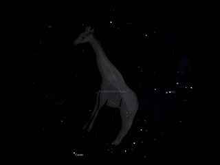 Girafe