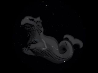 Baleine