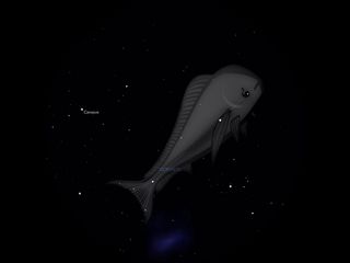 Dorade